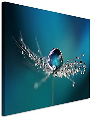 Paul Sinus Art Fotoleinwand 90x60cm Naturfotografie – Pusteblumen mit Morgentau auf Leinwand exklusives Wandbild moderne Fotografie für ihre Wand in vielen Größen