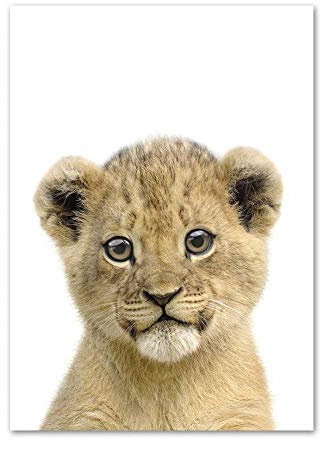 LCSLDW Leinwanddruck Tier Kinderzimmer Wandkunst Leinwand Malerei Nordic Poster Und Drucke Wandbilder Baby Kids Room Decor, Home Decoration, 50X70Cm No Frame