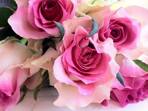 Puzzle Adulte Puzzle 1000 pièces - Challenge Puzzle-Roses, Fleurs, Bouquet 70x50cm