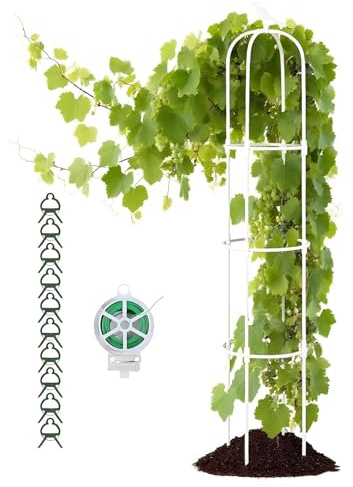 Rosas Metal Obelisco, Enrejado Rankobelisco de Jardín para Plantas Trepadoras, Soportes Tutor Decorativos Jardín Columnas Arco Rosales, Interiores Exteriores Flowers Fruit Grow Cage(White,D40xH125CM)