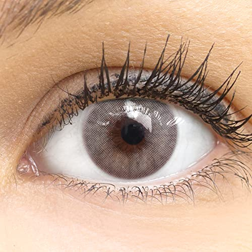 Glamlens lentilles de couleur grises naturelles colorées très haute opacité Venedig Gray + étuis à lentilles de contact I 1 paire (2 pièces) I DIA 14,00 I sans correction I 0,00 Dioptries