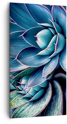 Bilder auf Leinwand 55x100cm Leinwandbild mit Rahmen Blumen Botanik Sukkulenten Groß Wanddeko Bild Schlafzimmer Küche Deko Wandbilder Dekoration Wohnzimmer Canvas Wand Kunstdruck Art PA55x100-6007