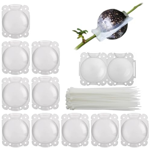 Tkxjry 10 Pezzi Contenitori per Radici pianta, 5CM Scatola Coltivazione radicamento, Dispositivo di Coltivazione Riutilizzabile, Per Innesto e Radicamento