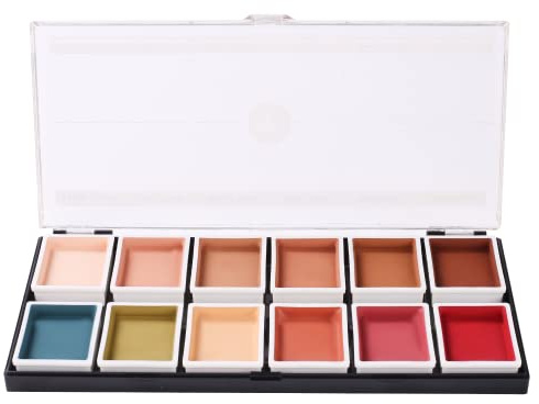 Narrative Cosmetics 12 Farben Hautfarbtöne Alkohol-aktivierte Schminkpalette für Spezialeffekte – Wasserfest Hautfarbtöne Make-up für professionelle Visagisten