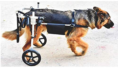 Yclty Hunderollstuhl Wheels Dog Wheelchair Für mittelgroße Hunde,Hundehund Rollstuhl Hinterbein Rehabilitation für Behinderten, 2 Räde 4 Größe Wählen Sie,15-60 kg