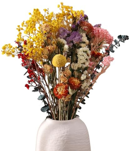saerryor 30 Pcs Dried Flowers 11 Kinds of Natural Dried Flowers Set, Decorative Dried Flowers for DIY Dried Flower Bouquet, Vase Decoration(Color 1)