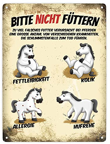 Bitte nicht füttern Metallschild XXL mit weiße Pferde Motiv