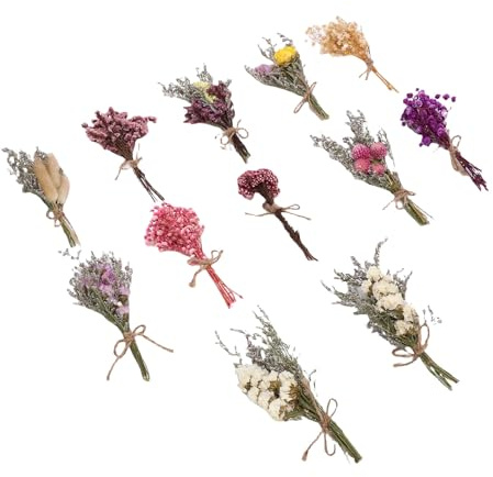 BONKZEBU Bouquet di Fiori Secchi 12 Pezzi Vaso Nuziale Decorativo Vivace e Inodore - Artigianato con Fiori Secchi per Giorni Speciali