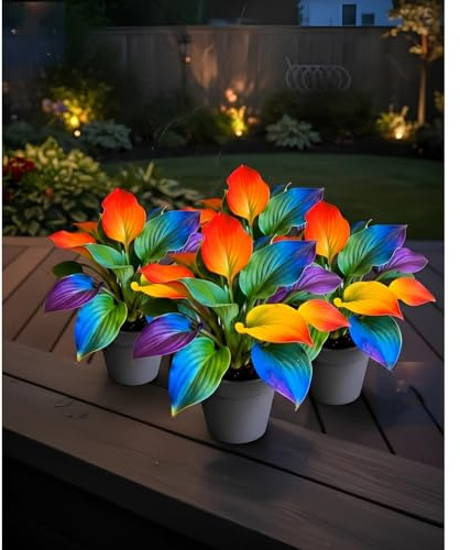 Mitternachtsblaue -Hosta, Mehrjährige Schatten, Winterhart Funkien, Geeignet für Gartenr-4 Wurzel-i