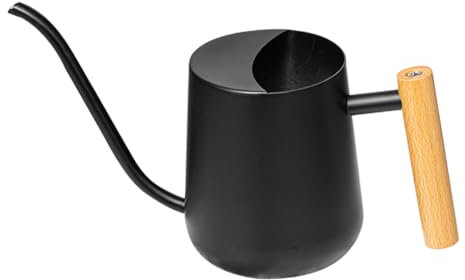 CAXUSD Pot Arrosage pour Plantes Intérieur Arrosoir avec Long Bec pour Jardin Arrosoir Capacité Importante Portable