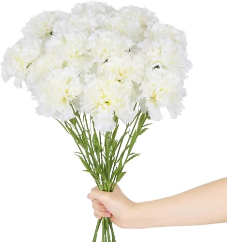 Ramo de Clavel Blanco Natural con 50 Flores de Color Puro y Elegante Clavelinas Blancas