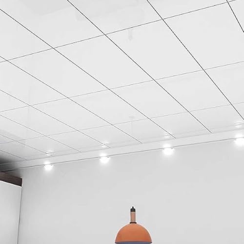Paneles de Techo Paneles de Techo Autoadhesivos de PVC Impermeable, Revestimiento Decorativo de Pared para Cochera/Armario/Dormitorio/Cine en Casa(White,10pcs(0.9㎡))