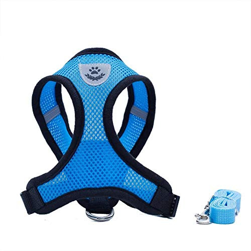 Locisne Tela de malla chaleco para perros Arnés suave ajustable cómodo | El plomo en el pecho del animal doméstico caminar con correa con clip (azul, Medio)