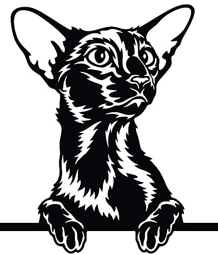 Autoaufkleber/Sticker/für Innen und Außen 28 cm schwarz Katze Kätzchen Orientalisch Kurzhaar 02