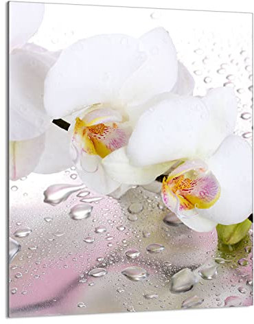 DarHaus Herdabdeckplatte Einteilig 40x52 cm Ceranfeld Abdeckung Glas Spritzschutz Abdeckplatte Glasplatte Herd Ceranfeldabdeckung Deko Orchidee Weiß Gehärtetes Glas