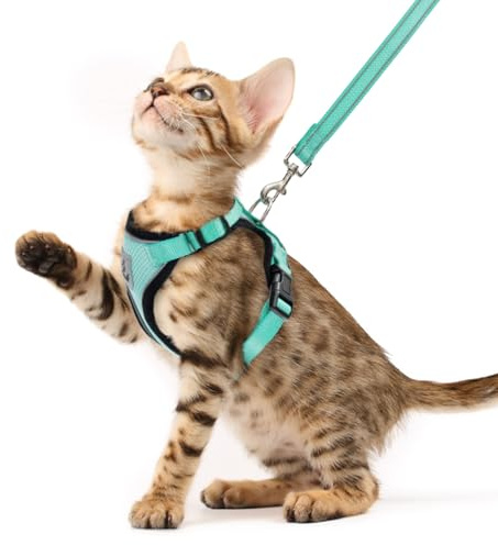 PUPTECK Katzengeschirr und Leine Set Fluchtbest?ndiges reflektierendes Katzengeschirr Einstellbare weiche atmungsaktive Netzweste f¨¹r kleine Haustiere, Aquamarin, XS