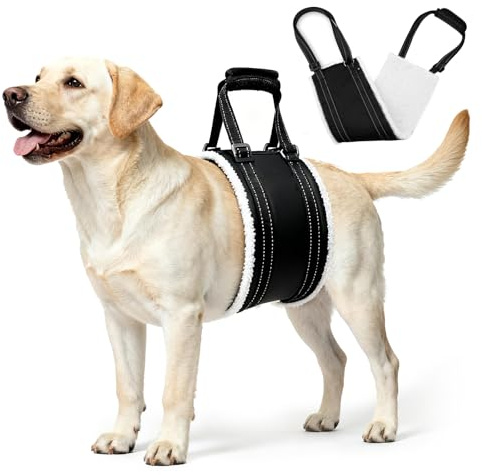 Voarge Hunde Tragehilfe Einstellbar Gehhilfe Hund, Sicherheitsunterstützung für behinderte, verletzte oder ältere Hunde Mittelgroße und Große Hund Rehabilitation Tragegurt (L)