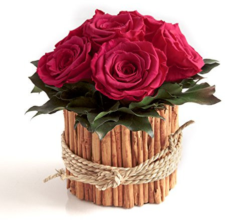 ROSEMARIE SCHULZ Heidelberg Rosengesteck 6 Infinity Rosen lang haltbar 3 Jahre/Blumengesteck/Bauernhaus/Blumen Deko/Tisch (Pink)