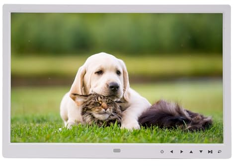 Cornice Digitale da 15 Pollici, 1920x1080 FHD Smart Photo Frame, Riproduzione Video in Loop Supporto a Parete Telaio Elettronico con Telecomando per la pubblicità Domestica