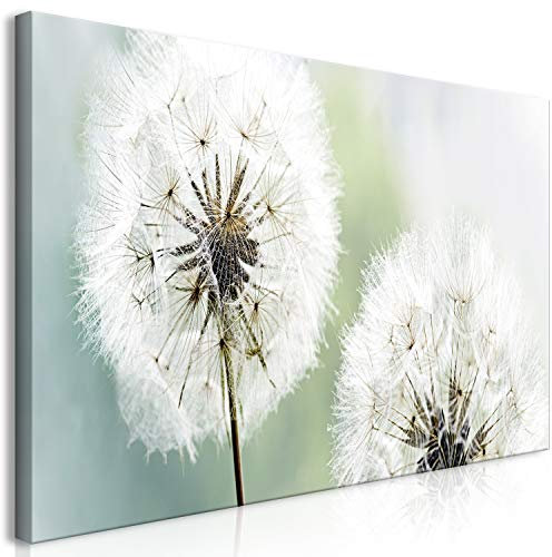 murando Wandbild Mega XXXL Pusteblume Einteiliger XXL-Format Kunstdruck zur Selbstmontage Leinwandbilder moderne Bilder DIY Wanddekoration Wohnung Deko Blumen Natur b-B-0223-ak-g