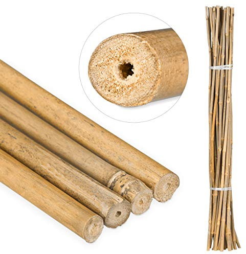 Relaxdays 100 x Bambusstäbe 105cm, aus natürlichem Bambus, Bambusstangen als Rankhilfe oder Deko, Bambusrohre zum Basteln, Natur