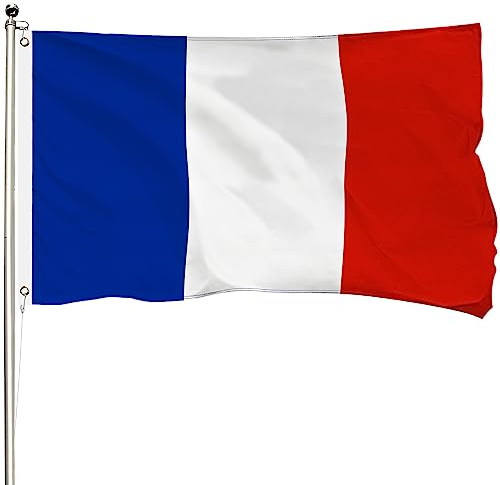 FSFLAG Frankreich-Flagge, 90 x 150 cm, Frankreich-Flagge, 400D, verstärktes Polyester mit zwei Messingösen, Frankreich Flaggen für den Außenbereich, reine Handarbeit, farbecht, Frankreich