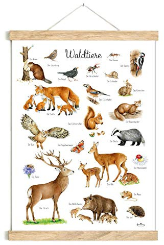 fioniony POSTER 50 x 70 cm WALDTIERE WEIß UNGERAHMT OHNE HOLZLEISTE Kinder Tierposter Lernposter Schulanfang 1. Klasse Kinderzimmer Deko Geburt Babyzimmer Wandbild Schule Kindergarten