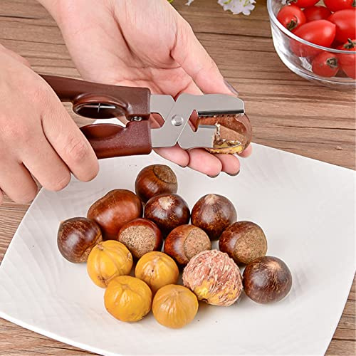 Campsie - Pinza castaña para castañas | Alicates para abrebotellas | Pelador de castañas de acero inoxidable | Herramienta cortacastañas para castañas, avellanas, nogal y otros | No Fácilmente