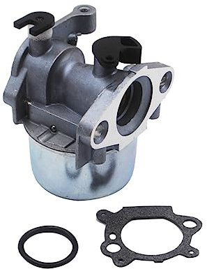 Vergaser für Motorenserie 794304 796707 799866 790845 799871