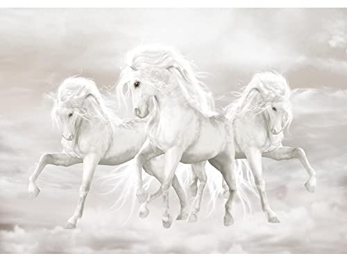 Runa Art Fototapete Einhorn Pferde Himmel 352 x 250 cm Vlies Tapeten XXL Moderne Wandtapete Wohnzimmer Schlafzimmer Beige Weiss 9450011b