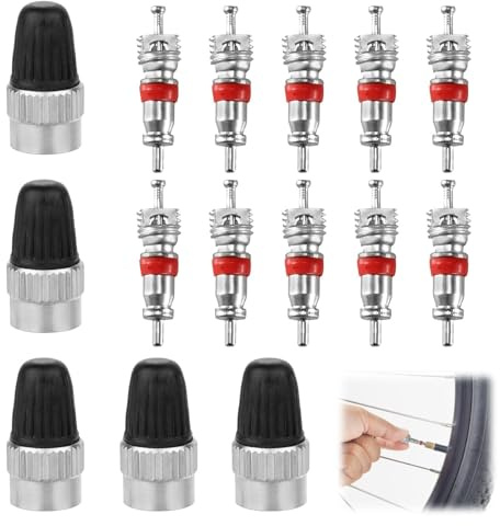10 Noyaux de Valve 5 Bouchons de Clé Polyvalents valve pneu voiture ensemble 20 Pièces pour Voiture, Moto, Vélo, Scooter, Mobylette et Camion Outils d'Extraction et Protection des Vannes Schrader