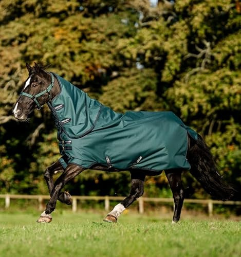 Horseware Amigo Ripstop 900D Plus Turnout 200g Decke Dynasty Green/Navy & Silver