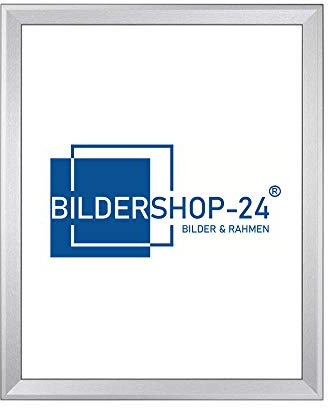 Bilderrahmen Prio 70x100cm Alu geschliffen(Dekor) ANTIREFLEX