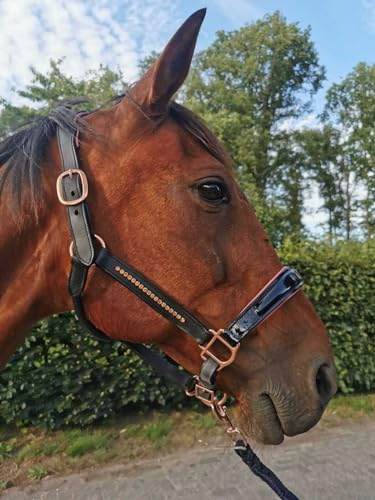 Esposita Lederhalfter mit Lackleder, Straß und anatomischem, gepolsterten Genickstück - Schwarz mit Rosegold (Cob)