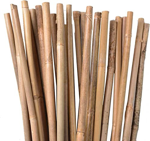Suinga Lot de 50 Tuteur en Bambou de 150 cm, 11-14 mm, Tubes en Bambou pour Plantes et Arbres, Baguettes de Bambou, Canne de Bambou, Tiges de Bambou, Supports pour Arbres