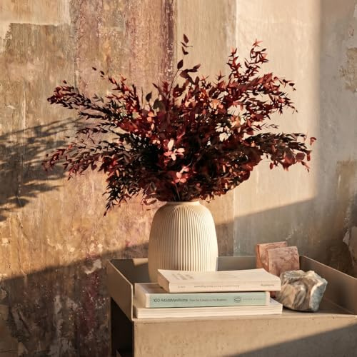 BLAINE - Ramo Preservado Parvifolia Granate Grande 75 cm | Decoración Ideal para Ramos de Flores Secas con Hojas Naturales Que No Necesita Mantenimiento