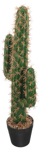 Ciieeo Pianta di Cactus Artificiale Vaso, in Plastico, Aspetto Realistico, Manutenzione Ridotta, per Interni e Terrazzi, Decorazione Domestica