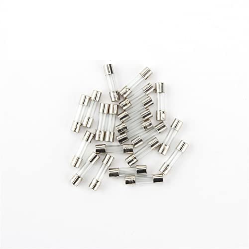 TNGNMGVSJ 10 Stück Glassicherungen, sortiertes Kit, 5 x 20 mm, 250 V, 0,1 A, 0,2 A, 0,5 A, 1 A, 2 A, 3 A, 4 A, 5 A, 6 A, 8 A, 10 A, 15 A, 20 A, 25 A, 30 A, AMP-Röhrensicherungen (Size : 20A)