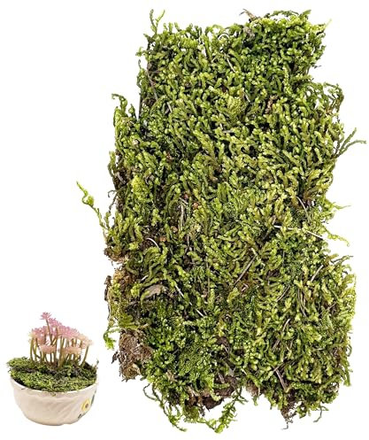 Cayway Tuft d'Herbe Statique, Mousse Verte Artificielle pour Plantes en Pot, Artisanat, Fleurs, Centres de Table, Décoration de Jardin Féérique