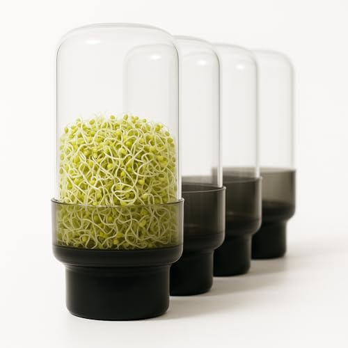 SOURCE AND SAGE Design Sprossenglas 750ml - 4er Sprossen Anzuchtset-Keimglas für Sprossen aus Glas mit Edelstahldeckel/Sieb, Anzuchtset inkl. Spülbürste. (Sprossenglas 4er Set, 4.0, stück)