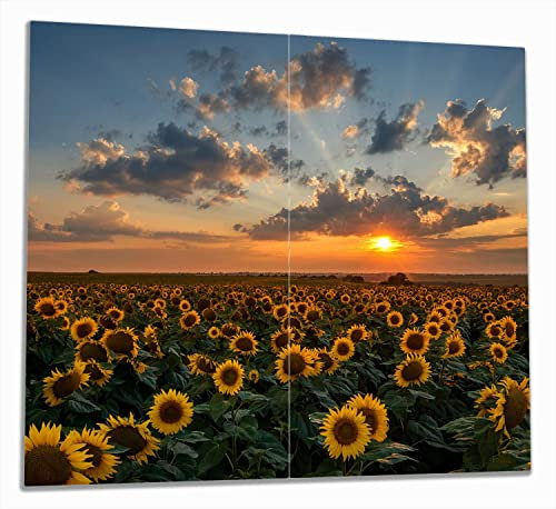 Wallario Herdabdeckplatte/Spritzschutz aus Glas, 2-teilig, 60x52cm mit 13mm hohen Füßen, für Ceran- und Induktionsherde, Sonnenblumenwiese vor Wolken mit Sonnenuntergang