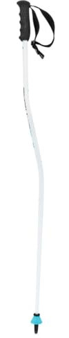 HEAD Worldcup SG Jr White - Bastones de esquí para niño, talla 100, color blanco