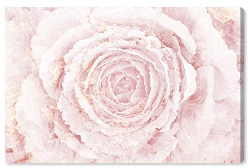 The Oliver Gal Artist Co. Floral Wall Art Canvas Prints 'Blush Winter Flower Home Décor, 54 X 36, Pink, Gold