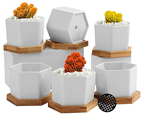 Coolty 6 Stück Keramik Sukkulenten Töpfe, Kaktus Pflanze Töpfe, Sechseckig Weiß Mini Blumentöpfe für Schreibtisch, Bücherregal, Geburtstag, Hochzeit, Festival Geschenk