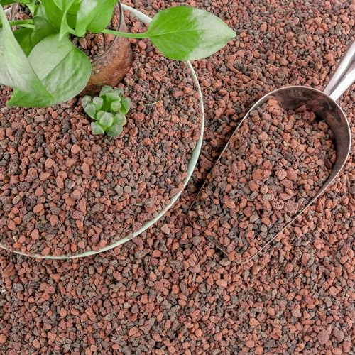 CJGQ 8,2 kg Mix Lavasteine für Pflanzen - Gartenbau Vulkangestein Kies für Landschaftsbau, Sukkulenten, Bonsai, Vasenfüller, Terrarienpflanzen, Top Dressing
