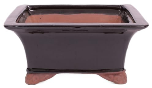 generisch Bonsai - Schale 17.5 x 17.5 x 8.5 cm schwarz 22116