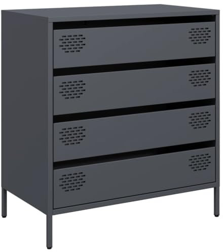 HEFZGDB Sideboard Anthrazit 68x39x73,5 cm Kaltgewalzter Stahl Beistellschrank Küche Küchenschrank Küchenschränke Apothekerschrank Küche für Café Küche Dessert Shop Wohnstube