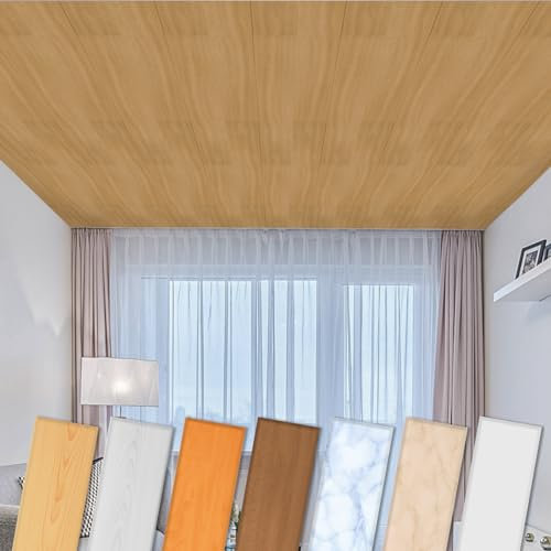 Paneles de techo HEXIM de XPS 100x16,7cm - revestimiento de techo moderno de plástico de poliestireno (10 metros cuadrados P-05) paneles de pared adecuados para habitaciones húmedas