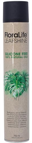 Flowerbox Oasis Floralife Spray brillant sans silicone pour plantes d'intérieur et plantes vertes 750 ml