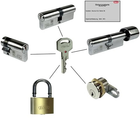 BKS Schließanlage mit Sicherungskarte | System Nuvius SLX | Profilzylinder | Halbzylinder | Knaufzylinder | gleichschließend frei kombinierbar (1x Zusätzlicher Schlüssel, 1x Zusätzlicher Schlüssel)